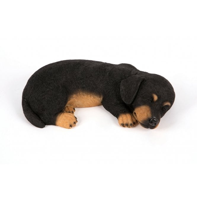 Garden Creations Sleeping Pup