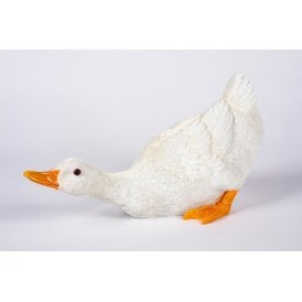 Sliding Duck