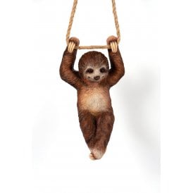 Sloth on Swing