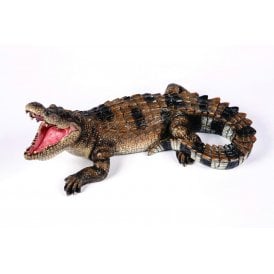 Snapping Crocodile
