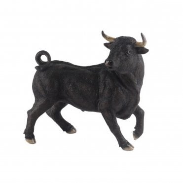 Spanish Bull