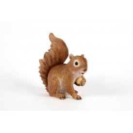 Squirrel Holding Acorn