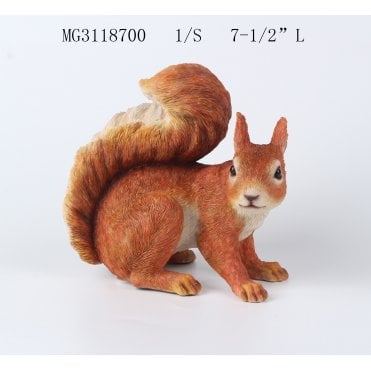 Squirrel Sitting