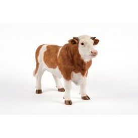 Standing Brown Bull