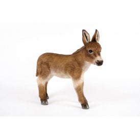 Standing Brown Donkey