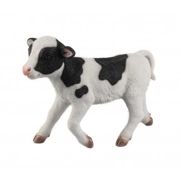 Standing Calf