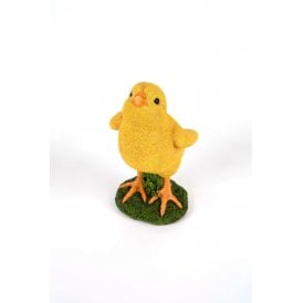 Standing Chick