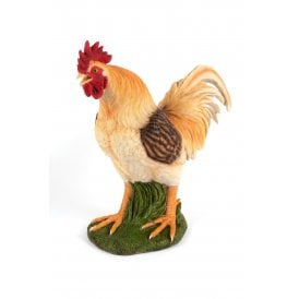 Standing Cockerel