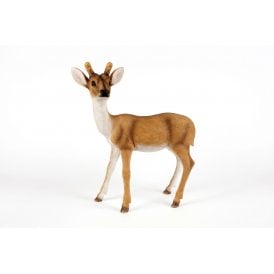 Standing Deer