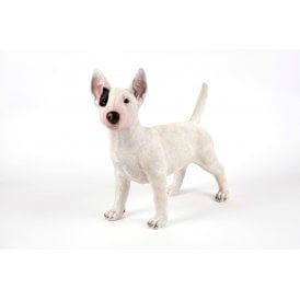 Standing English Bull Terrier