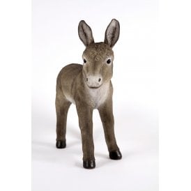 Standing Grey Donkey