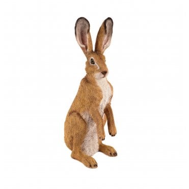 Standing Hare