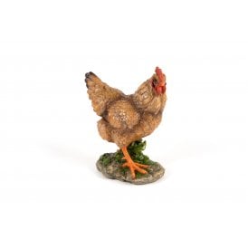 Standing Hen