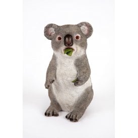 Standing Koala