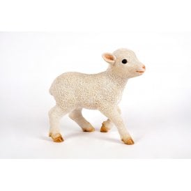 Standing Lamb