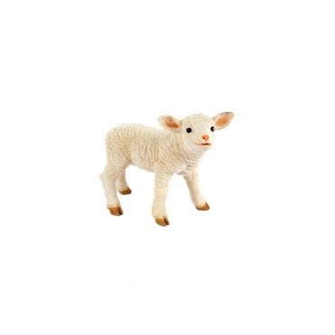 Standing Lamb