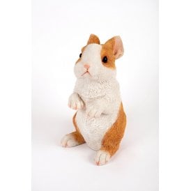 Standing Pet Rabbit