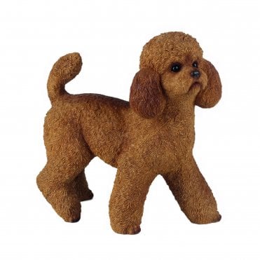 Standing Poodle