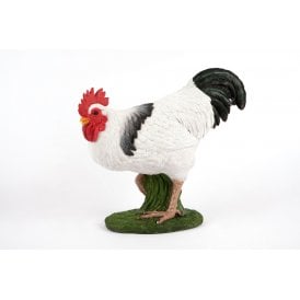 Standing Rooster
