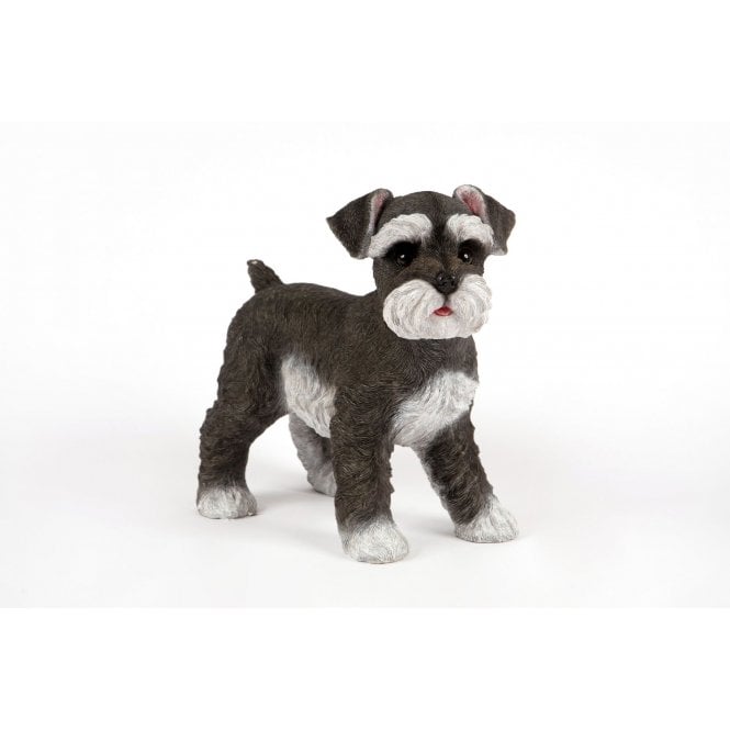 Garden Creations Standing Schnauzer