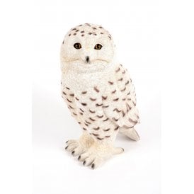 Standing Snowy Owl