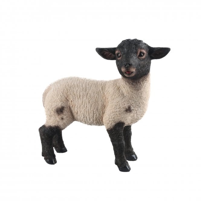 Garden Creations Standing Suffolk Lamb