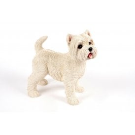 Standing West Highland Terrier