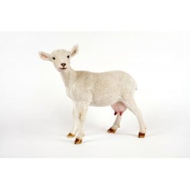 Standing White Goat