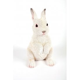 Standing White Rabbit