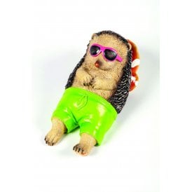 Sunbathing Hedgehog