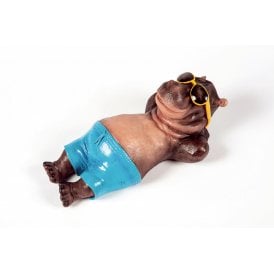 Sunbathing Hippo