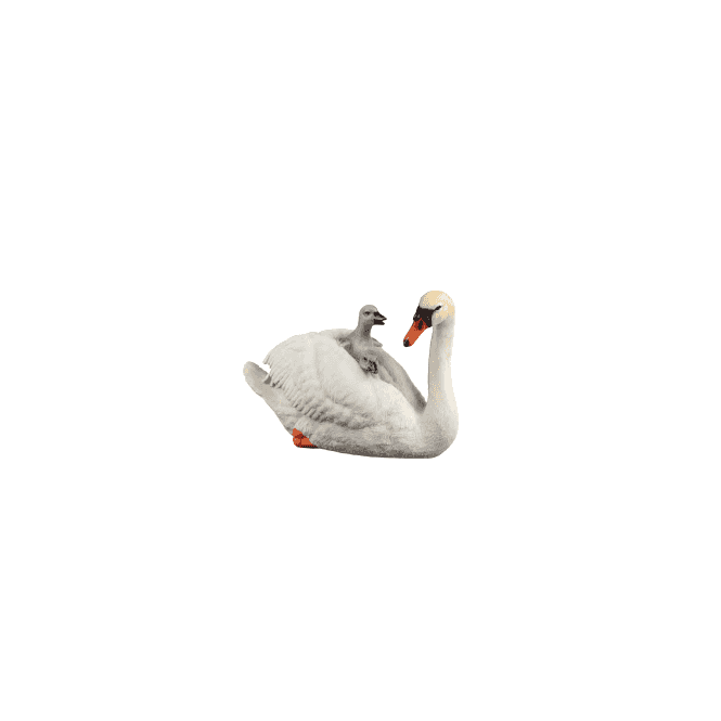 Garden Creations Swan with Cygnets