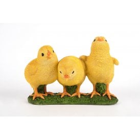 Three Chicks