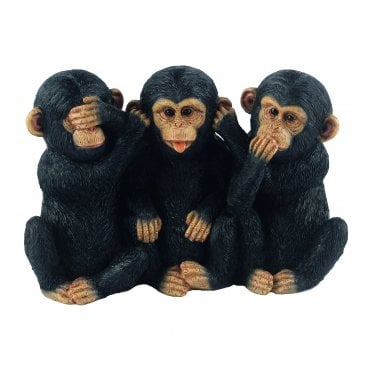 Three Chimps