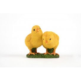 Two Chicks