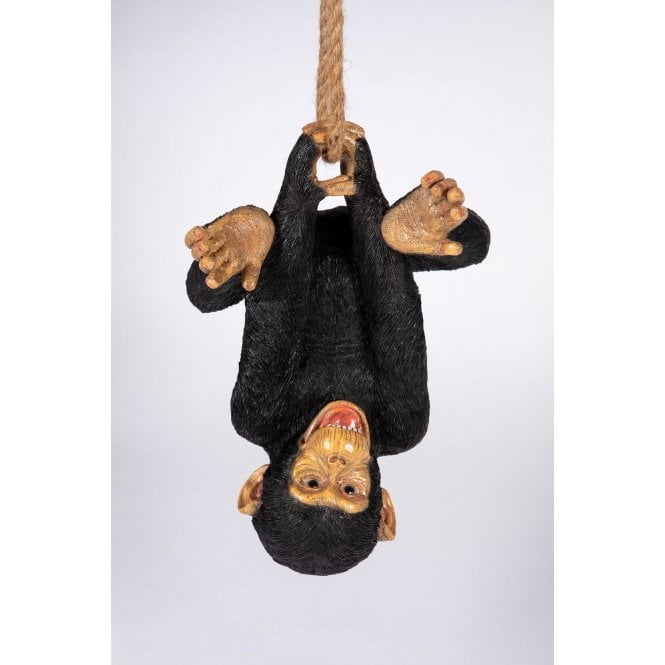 Garden Creations Upside Down Chimp