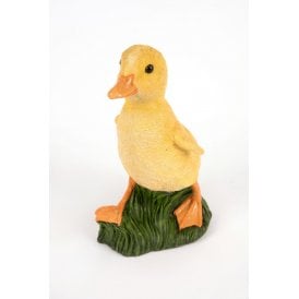 Walking Duckling