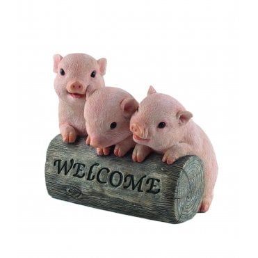 Welcome Pigs