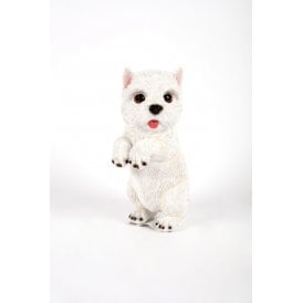 West Highland Terrier Pup