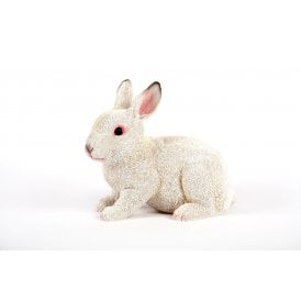 White Rabbit
