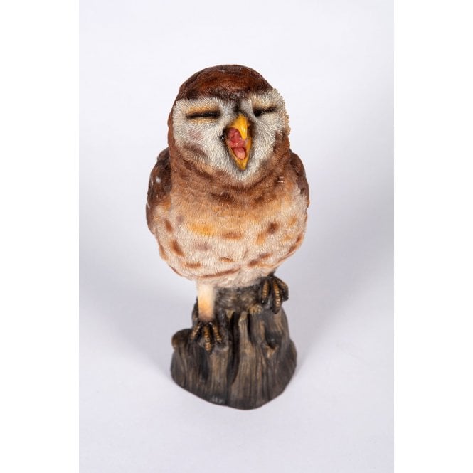 Garden Creations Yawning Owl