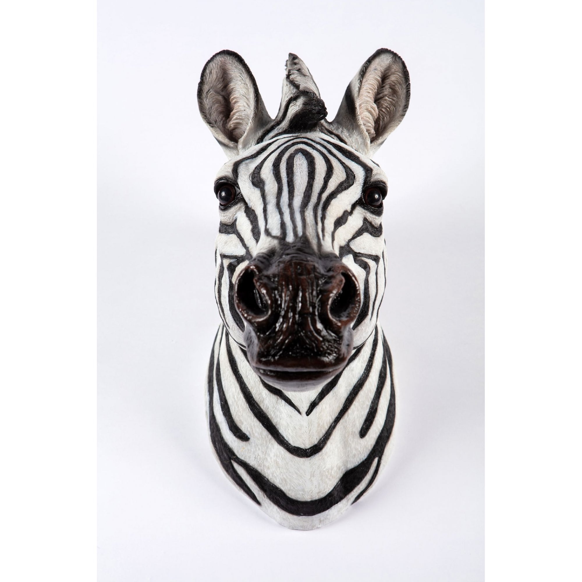 Zebra Head Wall Dacor - Lincs Aquatics