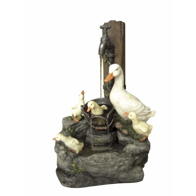 Hamac Duck Family at Tap