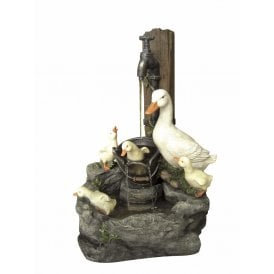 Duck Family at Tap