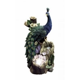 Peacock on Tree Trunk