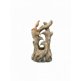 Squirrel on Branches