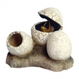 Dino Eggs