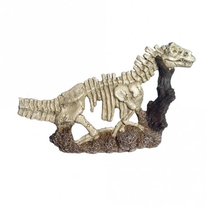 Hugo Kamishi Hugo Dino Half Skull