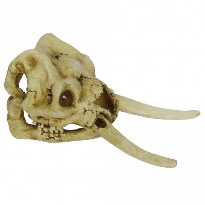 Hugo Kamishi Hugo Elephant Skull