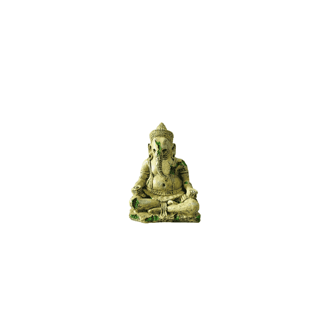 Hugo Kamishi Hugo Ganesha